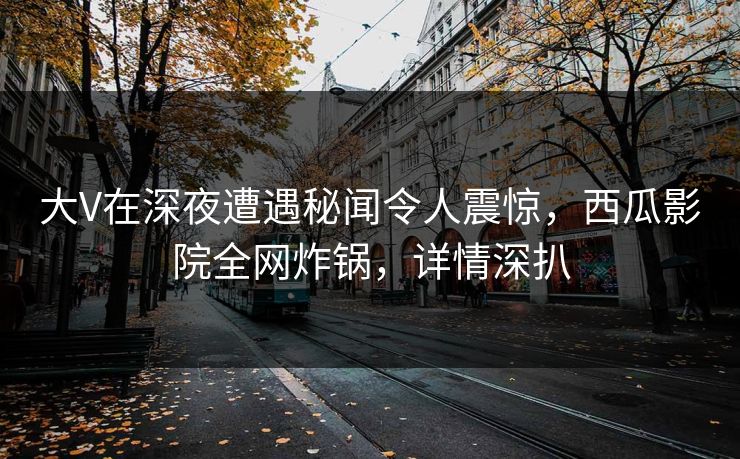 大V在深夜遭遇秘闻令人震惊，西瓜影院全网炸锅，详情深扒
