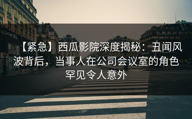 【紧急】西瓜影院深度揭秘：丑闻风波背后，当事人在公司会议室的角色罕见令人意外