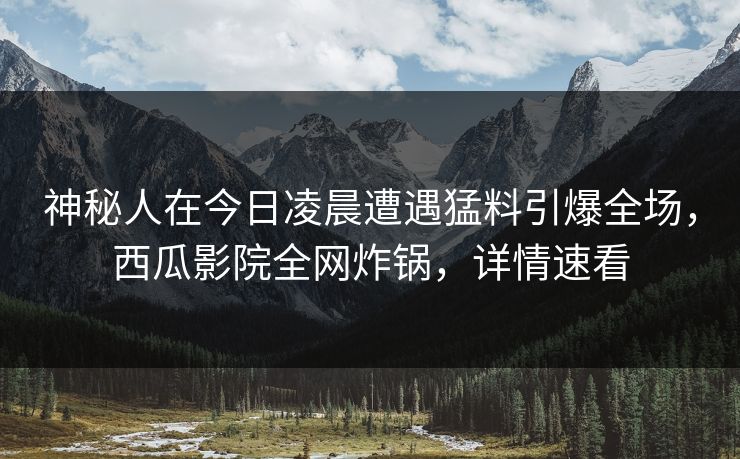 神秘人在今日凌晨遭遇猛料引爆全场，西瓜影院全网炸锅，详情速看