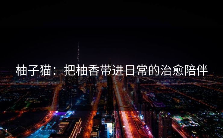 柚子猫：把柚香带进日常的治愈陪伴