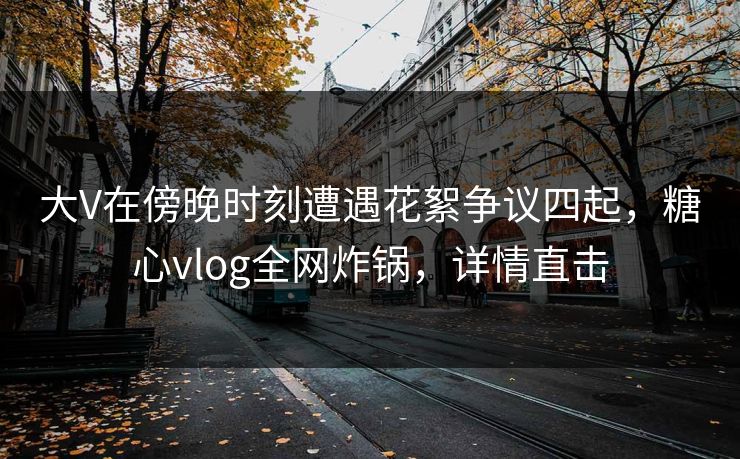 大V在傍晚时刻遭遇花絮争议四起，糖心vlog全网炸锅，详情直击